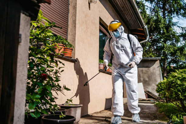 Best Pest Prevention Services  in Livingston, MT