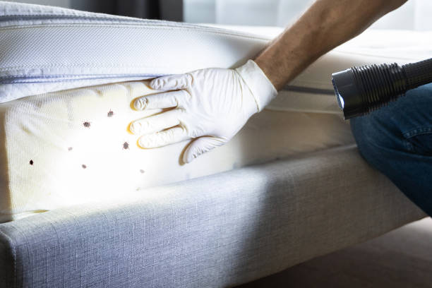 Best Affordable Pest Control Services  in Livingston, MT