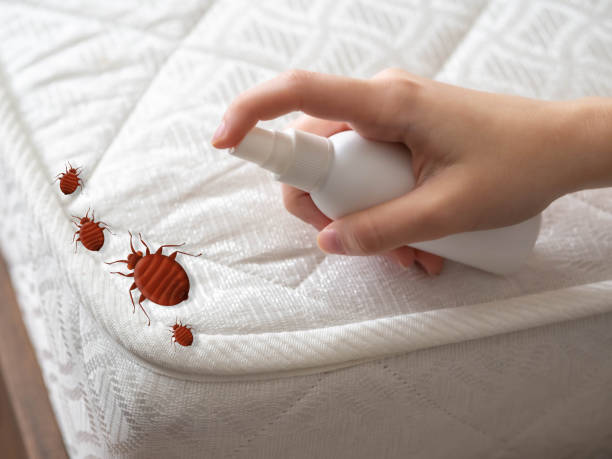 Best Pest Removal Services  in Livingston, MT
