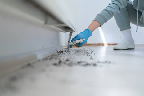 Best Wildlife Control Services  in Livingston, MT